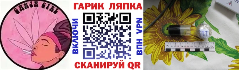 Купить закладку Галлюциногенные грибы  Канабис  Меф мяу мяу  Гашиш  Удомля