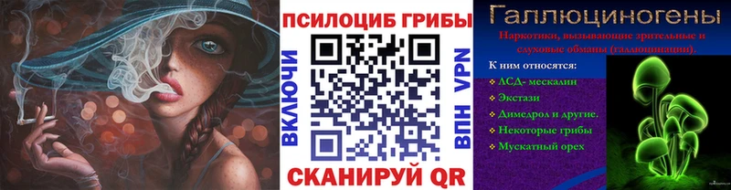 Купить  Удомля  Псилоцибиновые грибы прущие грибы 